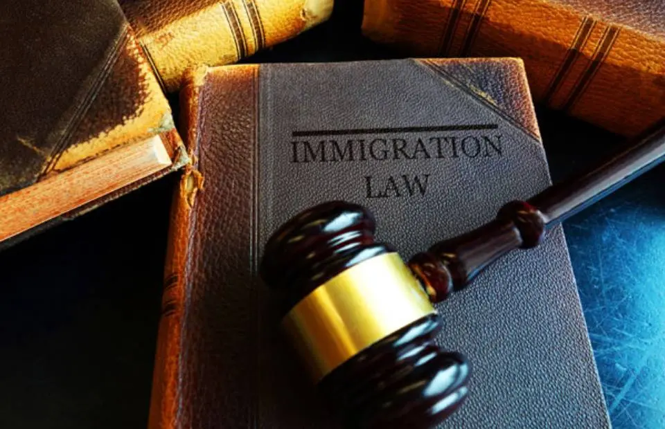 Best Immigration Law Colavecchio Law