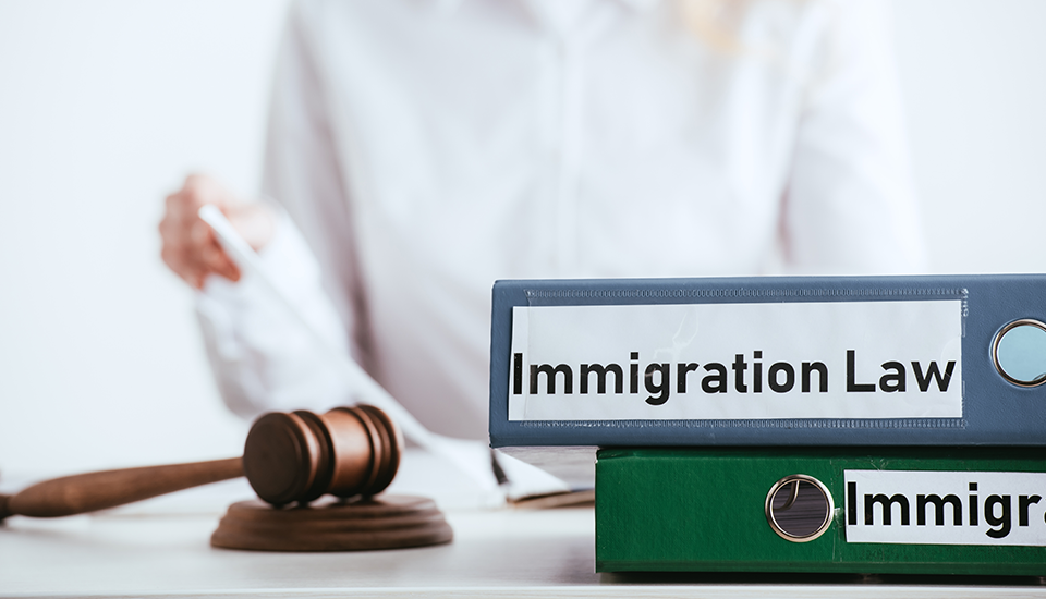 What can disqualify you from immigration?